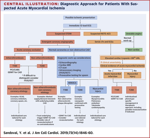 Courtesy of Sandoval, Y. et al. J AM Coll Cardiology 2019;73(14):1846-60