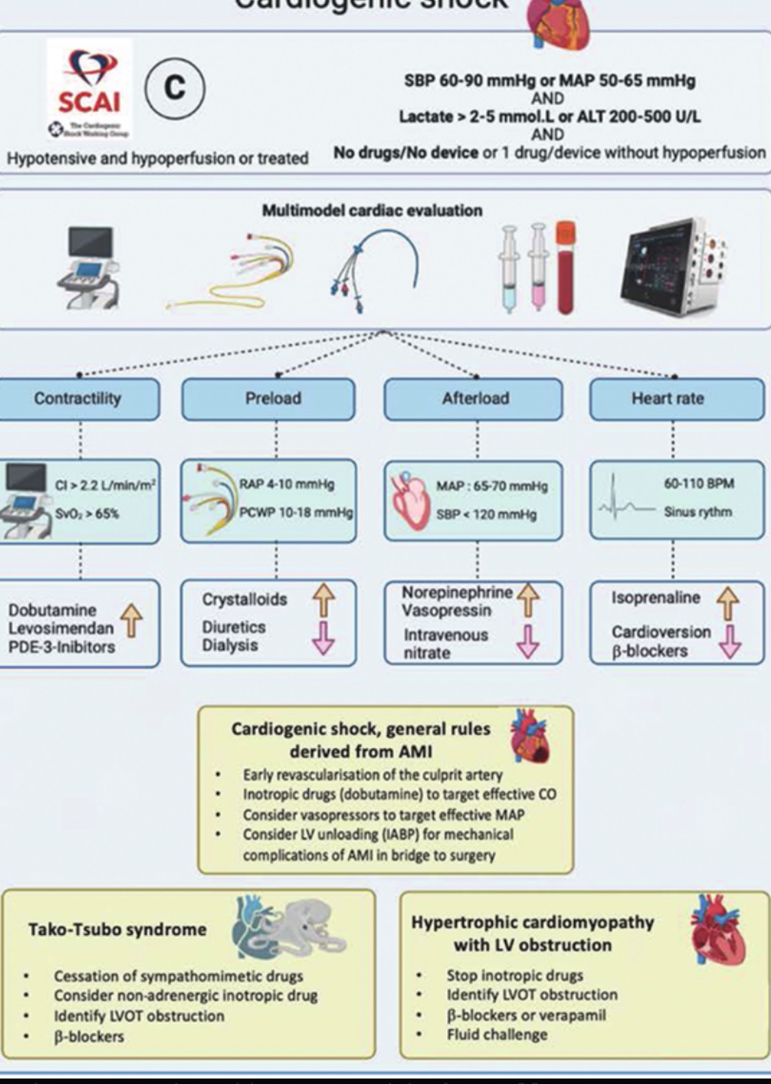 Courtesy of SCAI