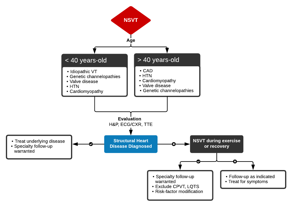 Courtesy of Tom Fadial, https://ddxof.com/nonsustained-ventricular-tachycardia/